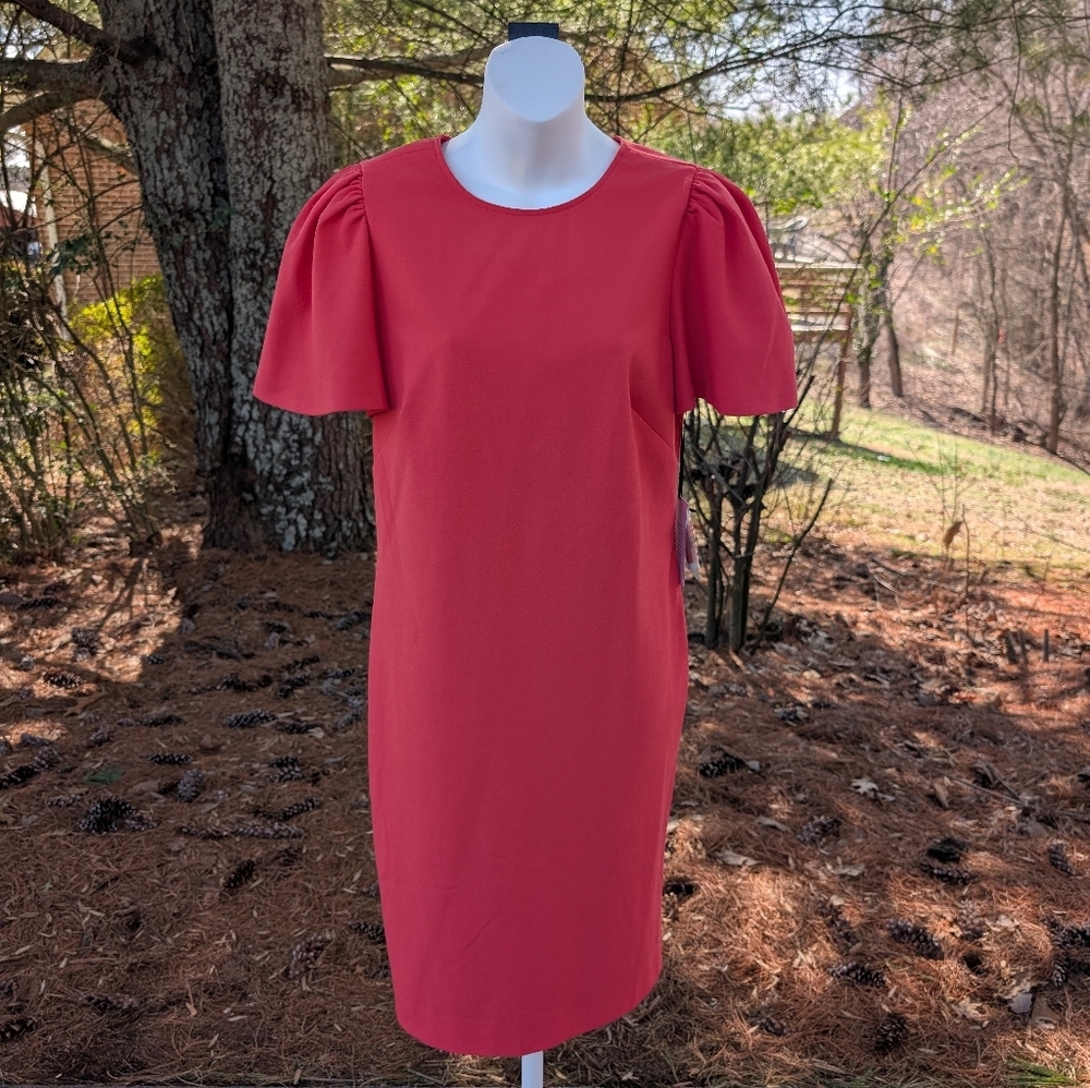 Carlisle Collection Women's Coral Basque Midi Flutter Sleeve Shift Dress Size 6